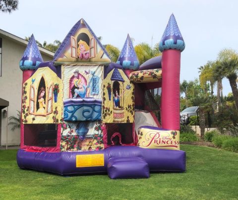 Princess Combo Jumper 5 in 1 Rental in San Diego