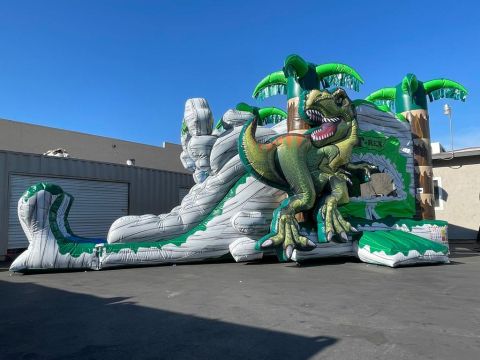 Dinosaur 4 In 1 T-Rex Large Dry Combo (sku C306)