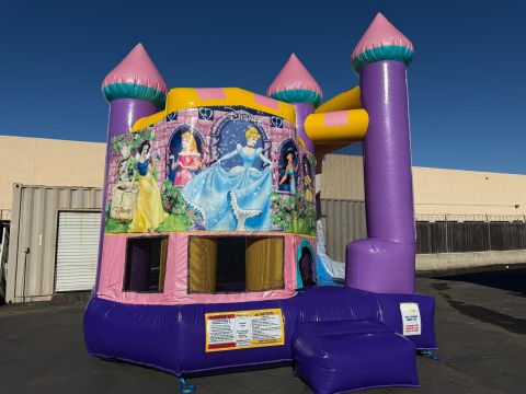 Backyard Dazzling Princess (sku C327-princess-banners)