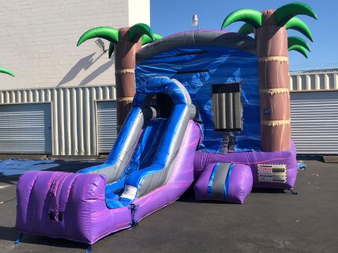 3 in 1 Hawaiian Purple  DRY Combo (C285)