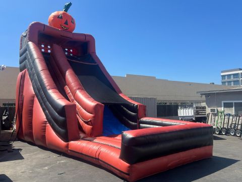 Giant Pumpkin Dry slide (sku D351)