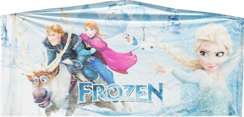 Frozen Banner Rental in San Diego