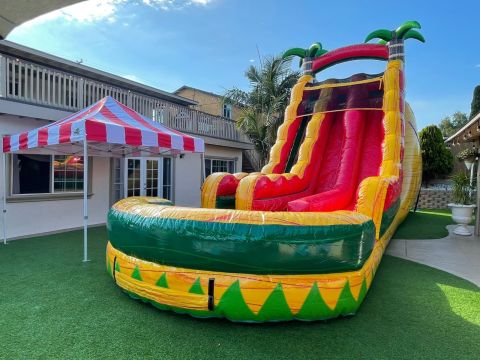 Dual Lane Tropical Fiesta breeze (SKU W462)