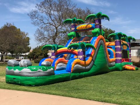 Dual Lane Paradise Combo Water Slide (SKU CW268)