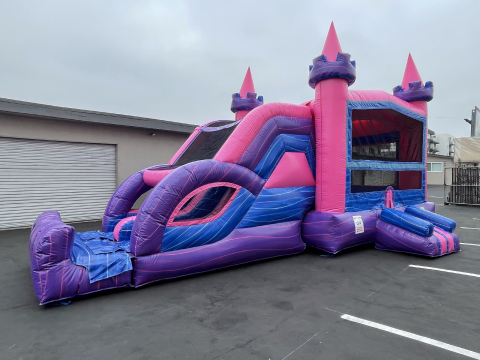 Dual lane 4 in 1 Pink Castle Dry Slide (sku C307)