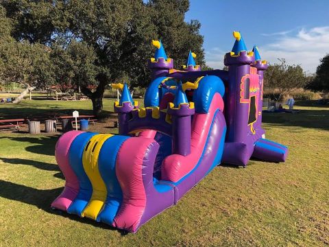 Queen Palace Combo Jumper Slide 4 in 1 Rental in San Diego