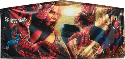 Spiderman 2 Banner Rental in San Diego
