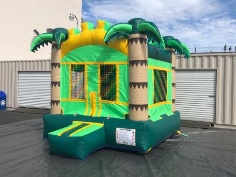 Palm Tree Jumper Rental (sku r165)