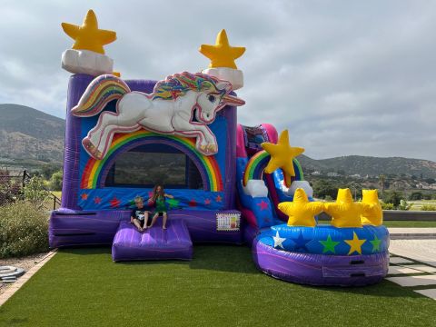 5 in 1 Unicorn Water Slide combo (SKU W273)