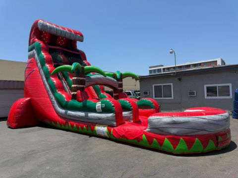 25 Ruby crush Tsunami water slide (sku W316)