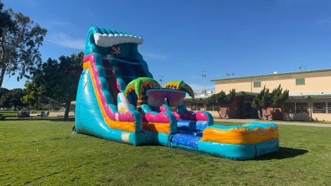 Dual lane beach Life water slide (sku W317-1)