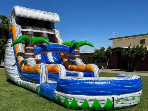 Dual lane monster wave water slide (sku W453)