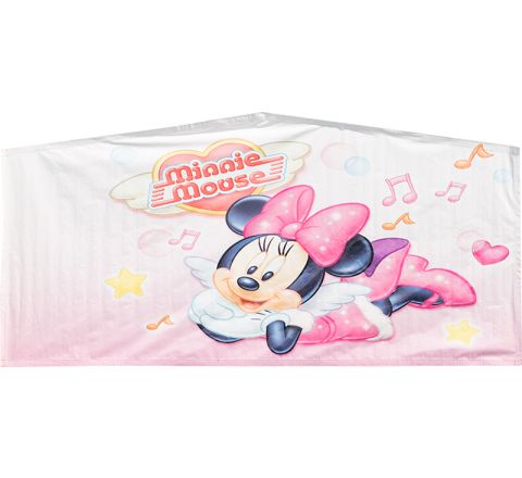 Minnie Mouse Banner Rental in San Diego