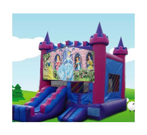 Cinderella Bounce House Combo Jumper  2 in 1 Rental in San Diego